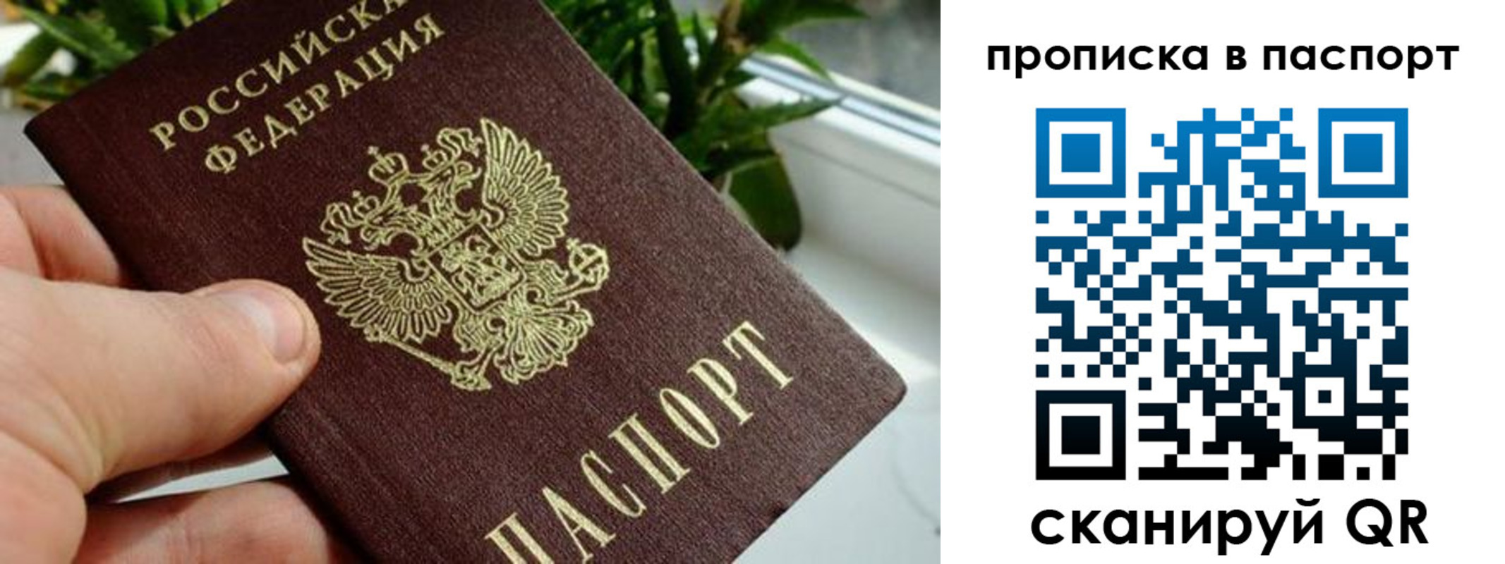 пропишу в квартире в Трубчевске